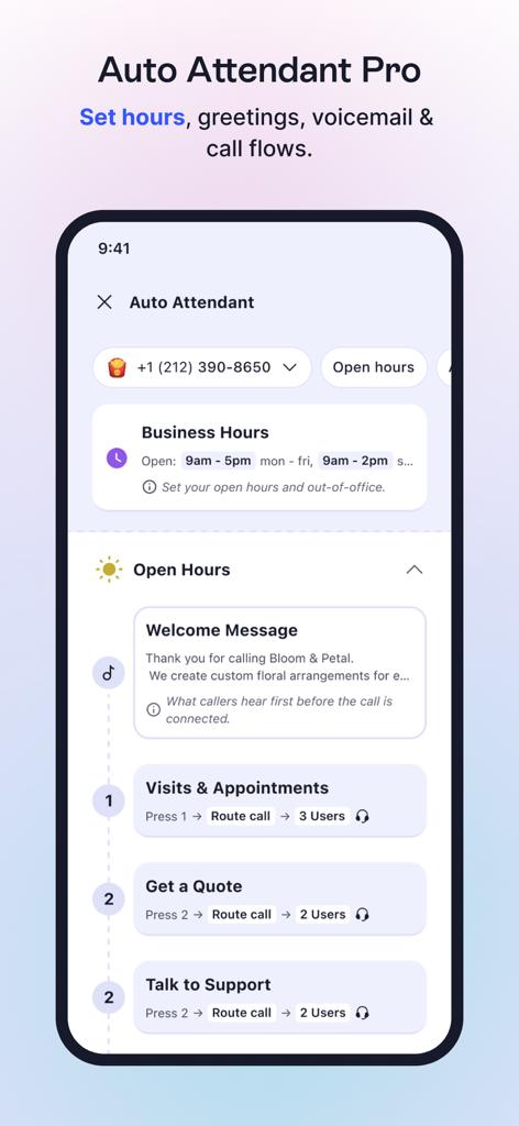 What is IVR Solution
