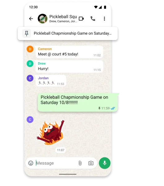 WhatsApp Business Solution